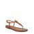 SADDLEBROWN